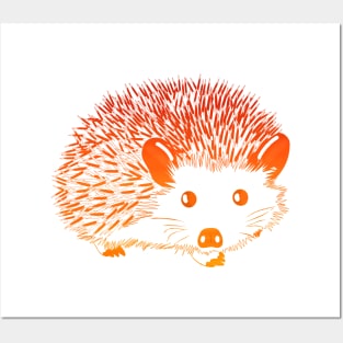 Hedgehog In Sunset Colors Posters and Art